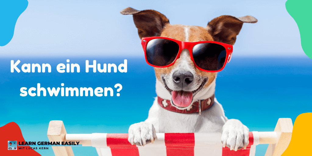 El verbo können – Ejercicio A: